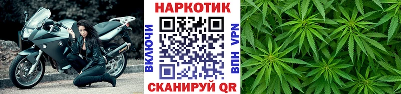 Купить закладку Конопля  Псилоцибиновые грибы  Alpha PVP  Меф мяу мяу  Кетамин  Cocaine  Муравленко